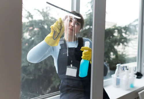 Nettoyage de vitres intérieures et extérieures à Rolleboise